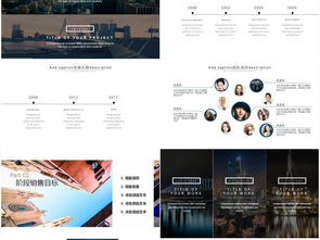 房地產(chǎn)整合營銷策劃與銷售執(zhí)行方案